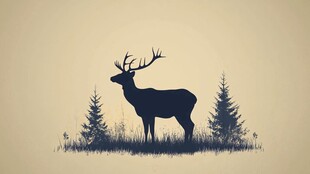 森林中站立的雄鹿剪影