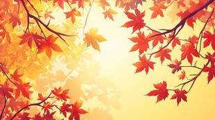 秋日枫叶美景图