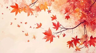 秋日枫叶飘 浪漫诗意景