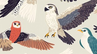 飞翔的多彩鸟类插画