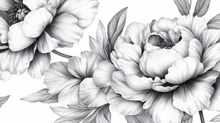 黑白牡丹花卉图案设计