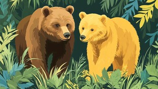 森林中的双熊漫步