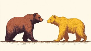 对峙的棕熊与黄熊