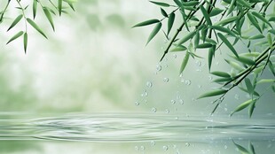 雨落翠竹 水面涟漪轻泛