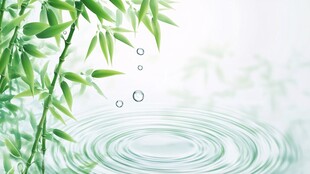 翠竹映水泛起圈圈涟漪