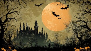 月夜下的神秘古堡与蝙蝠