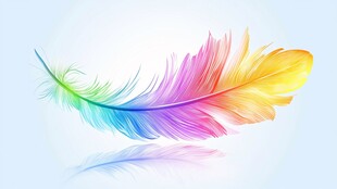 梦幻彩色羽毛的轻盈之美