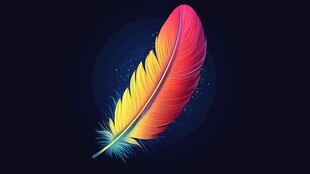 梦幻绚丽彩色羽毛插画