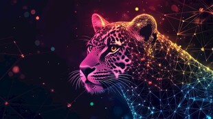 霓虹光效下的酷炫猎豹