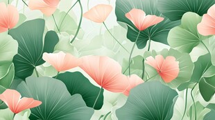 夏日荷花荷叶清新插画