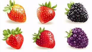 多样莓果插画
