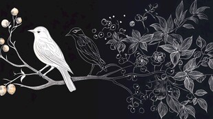 黑白花鸟图 静谧自然之美