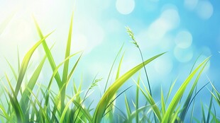 春日嫩绿青草蓝天背景图