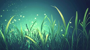 夏夜萤光下的青青草地