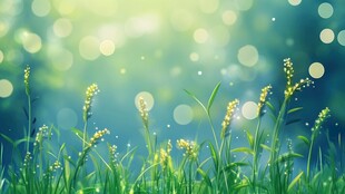 春日绿草繁花梦幻景象