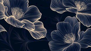 夜影繁花 精致线条花卉图案