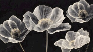 黑白梦幻风花朵艺术图像