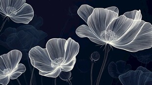 梦幻透明花朵 暗夜绽放