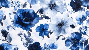 蓝白花卉图案背景纹理