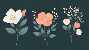 手绘清新花卉组合插画