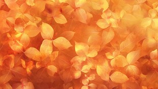 秋日金黄叶片梦幻背景图