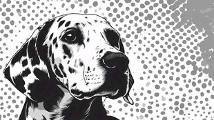 斑点狗黑白插画特写