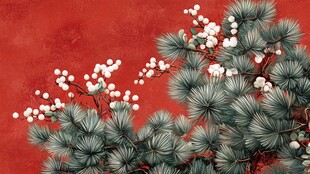 红墙前的松枝与白色浆果