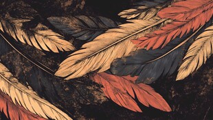 多彩羽毛图案背景纹理