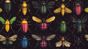 多彩昆虫图案背景