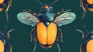 多彩甲虫无缝图案设计