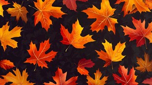 秋日枫叶图案背景