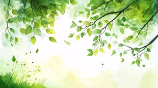 清新绿叶绘就春日景致