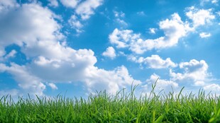 蓝天白云下的翠绿草地