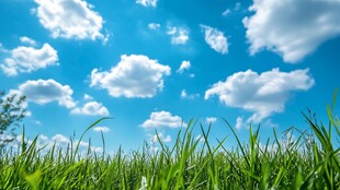 蓝天绿草 清新自然景致