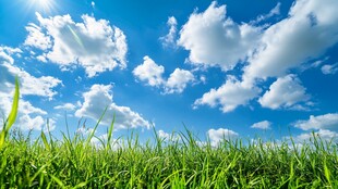 蓝天绿地 清新自然美景