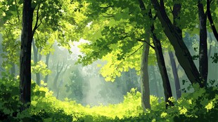 阳光洒落的静谧森林空间