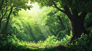 阳光洒落的静谧森林小径