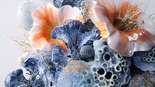 梦幻海洋风珊瑚花卉组合