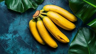 蓝底绿叶间的金黄香蕉