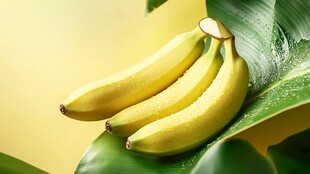 新鲜黄香蕉置于翠绿叶片上