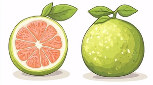 青柚插画 完整与切开形态