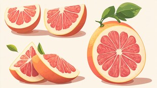 新鲜西柚切片插画展示