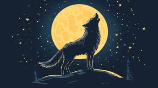 月夜孤狼仰天长啸