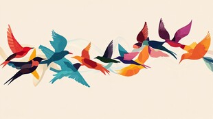 群鸟齐飞的绚丽瞬间