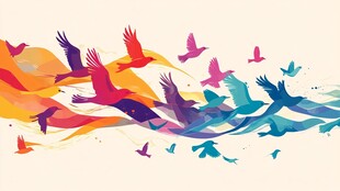 彩色飞鸟群舞绚丽图景