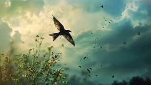 天空中飞翔的鸟儿与植物