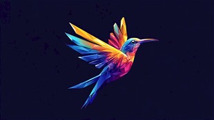 五彩斑斓蜂鸟展翅飞翔