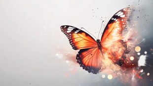 梦幻蝴蝶绽放绚丽光彩