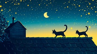 月夜屋顶上的双猫漫步
