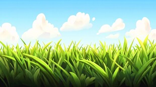 青青草地 蓝天白云风景图